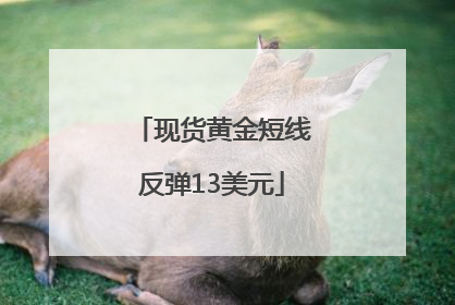 现货黄金短线反弹13美元