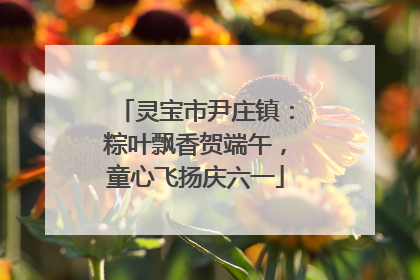 灵宝市尹庄镇：粽叶飘香贺端午，童心飞扬庆六一