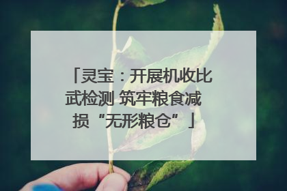 灵宝：开展机收比武检测 筑牢粮食减损“无形粮仓”