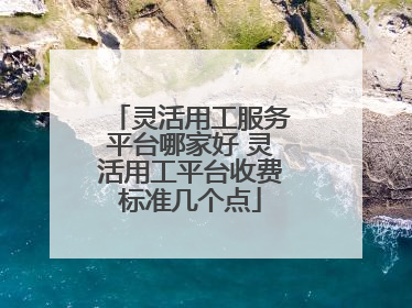 灵活用工服务平台哪家好 灵活用工平台收费标准几个点
