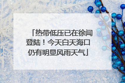 热带低压已在徐闻登陆！今天白天海口仍有明显风雨天气