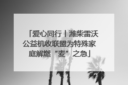 爱心同行丨潍柴雷沃公益机收联盟为特殊家庭解燃“麦”之急