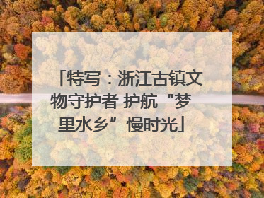 特写：浙江古镇文物守护者 护航“梦里水乡”慢时光