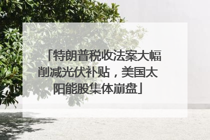 特朗普税收法案大幅削减光伏补贴，美国太阳能股集体崩盘