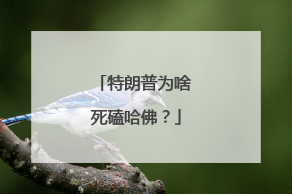 特朗普为啥死磕哈佛？