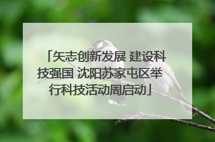 矢志创新发展 建设科技强国 沈阳苏家屯区举行科技活动周启动