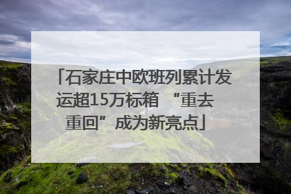 石家庄中欧班列累计发运超15万标箱 “重去重回”成为新亮点