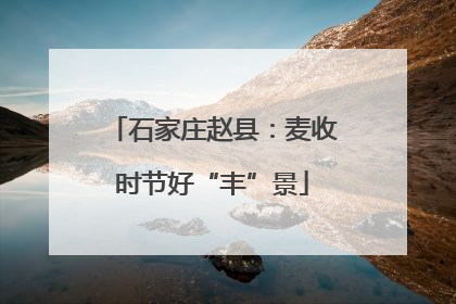 石家庄赵县：麦收时节好“丰”景