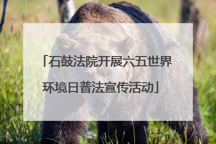 石鼓法院开展六五世界环境日普法宣传活动
