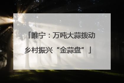 睢宁：万吨大蒜拨动乡村振兴“金蒜盘”