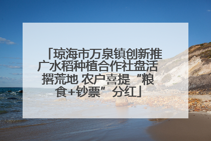 琼海市万泉镇创新推广水稻种植合作社盘活撂荒地 农户喜提“粮食+钞票”分红