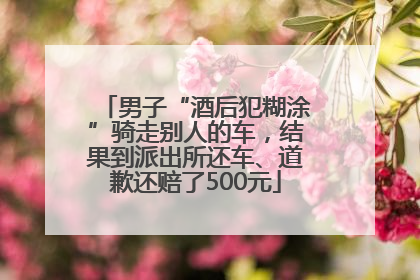 男子“酒后犯糊涂”骑走别人的车，结果到派出所还车、道歉还赔了500元