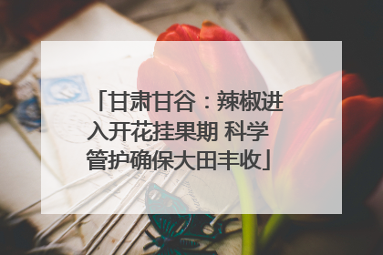 甘肃甘谷：辣椒进入开花挂果期 科学管护确保大田丰收