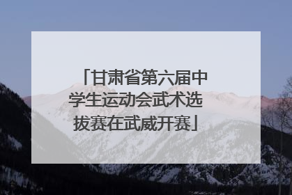 甘肃省第六届中学生运动会武术选拔赛在武威开赛