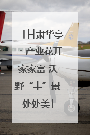 甘肃华亭：产业花开家家富 沃野“丰”景处处美