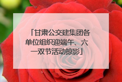 甘肃公交建集团各单位组织迎端午、六一双节活动掠影