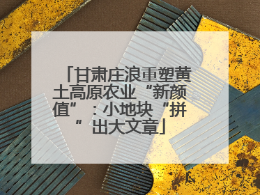 甘肃庄浪重塑黄土高原农业“新颜值”：小地块“拼”出大文章