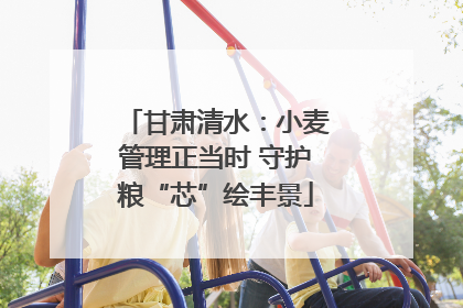 甘肃清水：小麦管理正当时 守护粮“芯”绘丰景
