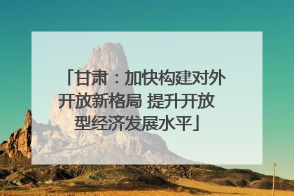 甘肃：加快构建对外开放新格局 提升开放型经济发展水平