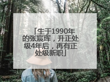 生于1990年的张宸珲，升正处级4年后，再有正处级新职