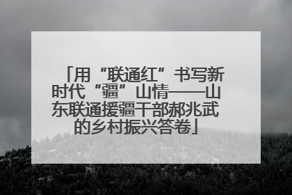 用“联通红”书写新时代“疆”山情——山东联通援疆干部郝兆武的乡村振兴答卷