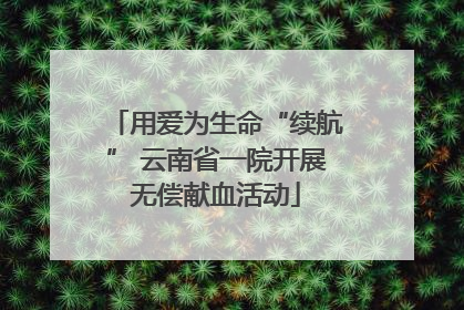 用爱为生命“续航” 云南省一院开展无偿献血活动