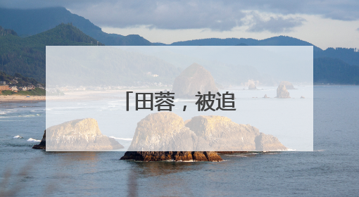 田蓉，被追认撤销资格