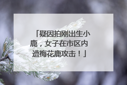 疑因拍刚出生小鹿，女子在市区内遭梅花鹿攻击！