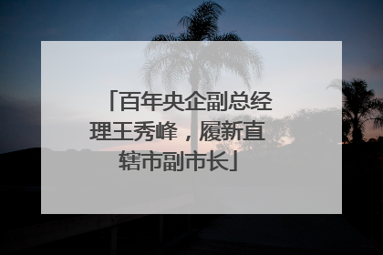 百年央企副总经理王秀峰，履新直辖市副市长