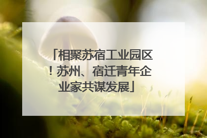 相聚苏宿工业园区！苏州、宿迁青年企业家共谋发展