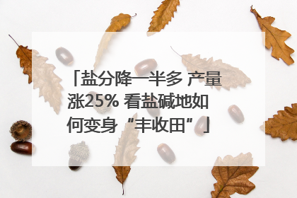 盐分降一半多 产量涨25% 看盐碱地如何变身“丰收田”