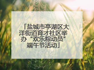 盐城市亭湖区大洋街道育才社区举办“欢乐粽动员”端午节活动