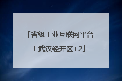 省级工业互联网平台！武汉经开区+2
