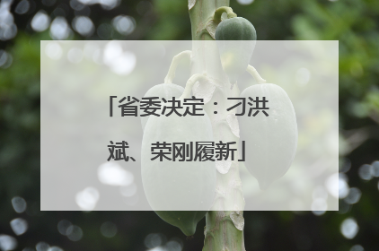 省委决定：刁洪斌、荣刚履新