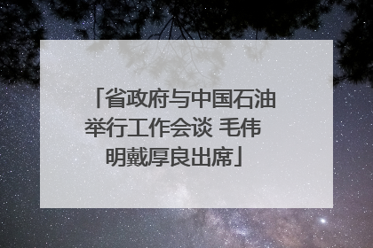 省政府与中国石油举行工作会谈 毛伟明戴厚良出席