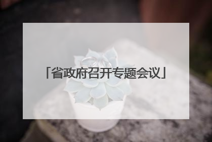 省政府召开专题会议
