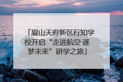眉山天府新区行知学校开启“走进航空·逐梦未来”研学之旅