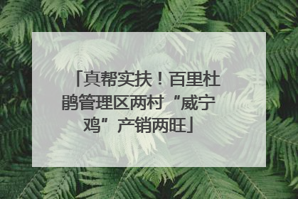 真帮实扶！百里杜鹃管理区两村“威宁鸡”产销两旺