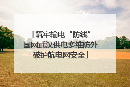 筑牢输电“防线” 国网武汉供电多维防外破护航电网安全