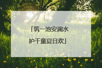 筑一池安澜水 护千童夏日欢