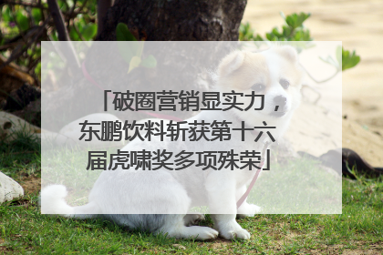 破圈营销显实力，东鹏饮料斩获第十六届虎啸奖多项殊荣