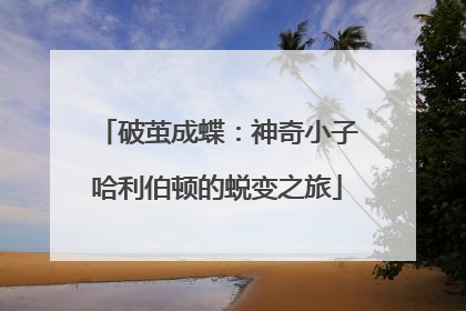 破茧成蝶：神奇小子哈利伯顿的蜕变之旅