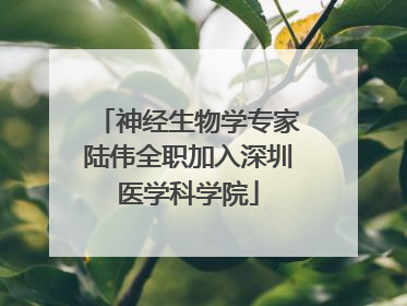 神经生物学专家陆伟全职加入深圳医学科学院