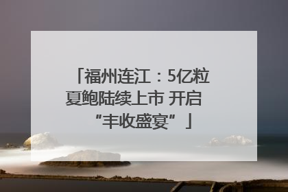 福州连江：5亿粒夏鲍陆续上市 开启“丰收盛宴”