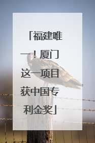 福建唯一！厦门这一项目获中国专利金奖