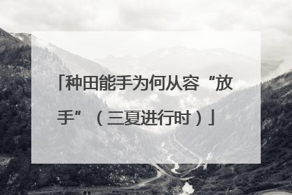 种田能手为何从容“放手”（三夏进行时）