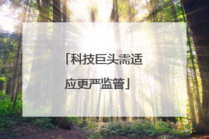 科技巨头需适应更严监管
