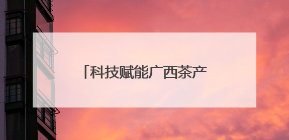科技赋能广西茶产业“持续领鲜” 八桂茶香沁人心