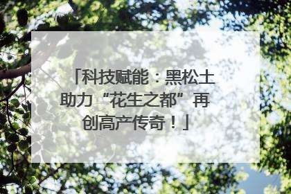 科技赋能：黑松土助力“花生之都”再创高产传奇！