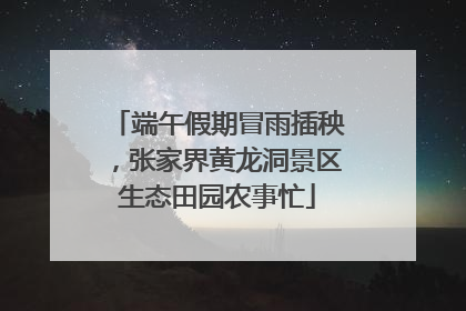 端午假期冒雨插秧，张家界黄龙洞景区生态田园农事忙